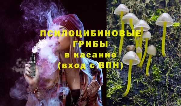 круглые Бородино