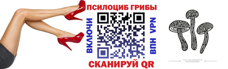 Псилоцибиновые грибы Cubensis Яблоновский